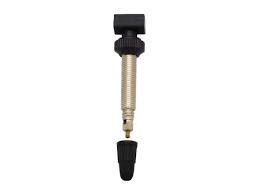 Tubeless Valve